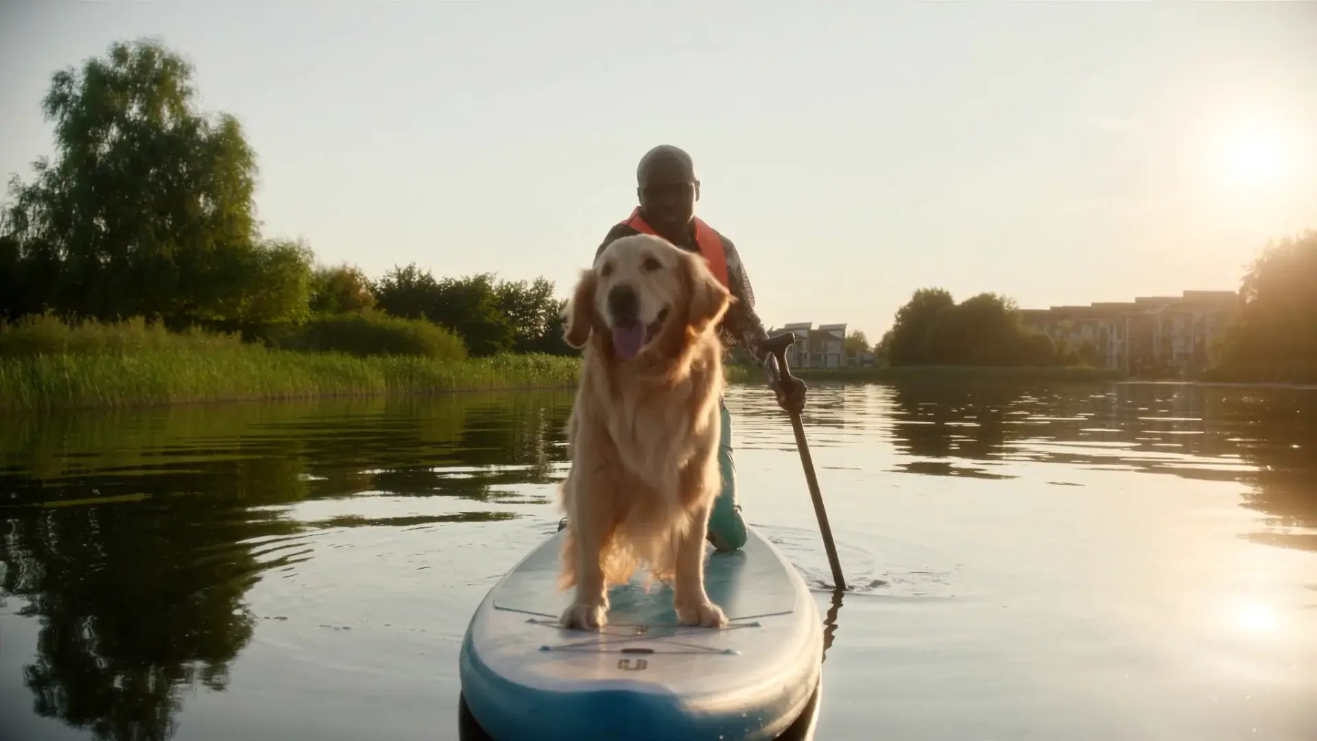 SUP met hond: training, board-keuze en eerste keer op het water — Hond op de neus van een SUP-board met eigenaar peddelend