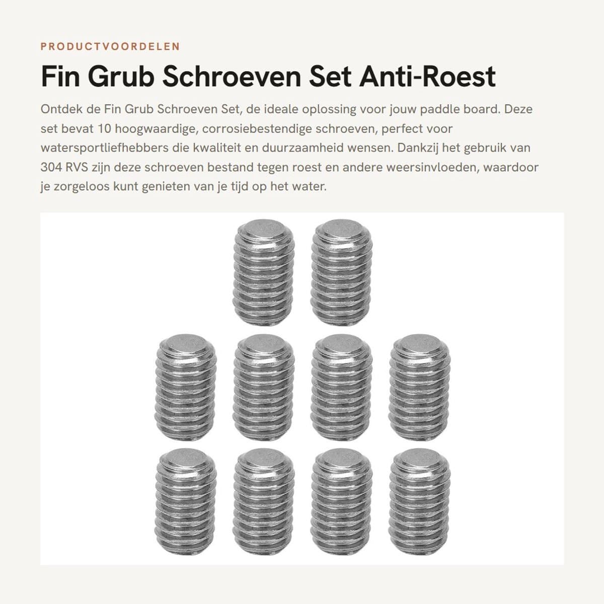 Dailygoods Grub Schroeven Set 10 Stuks Corrosiebestendig